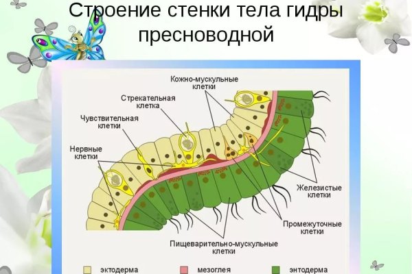 Как войти на кракен