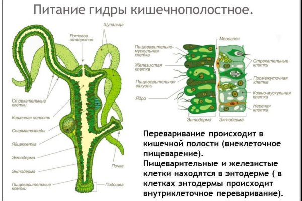 Кракен площадка vk2 top