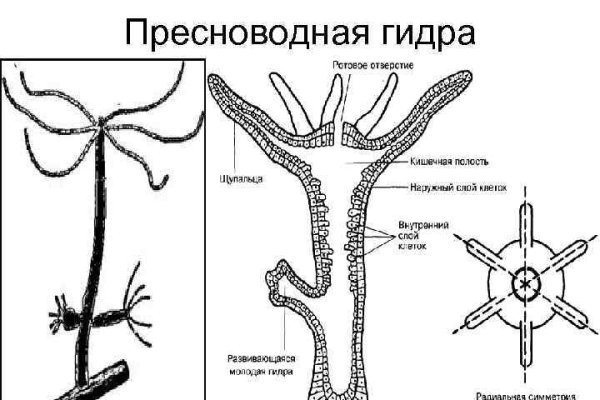 Новая ссылка кракена