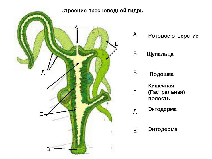 Кракен 16 вход